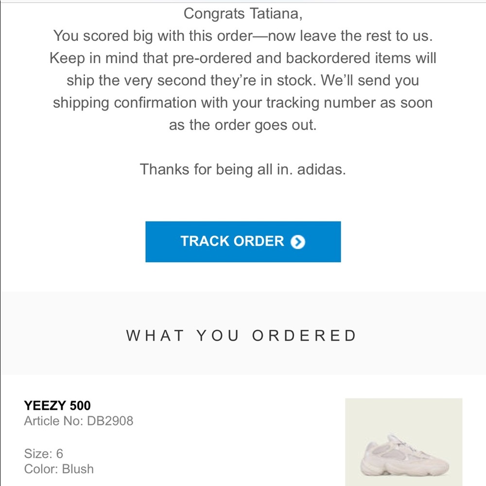 Yeezy 500